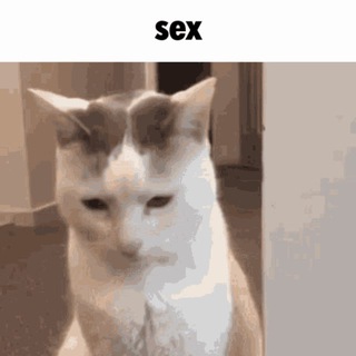 Telegram profile photo for Борщ без свеклы