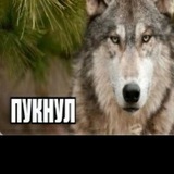 Telegram profile photo for Тревор бухло