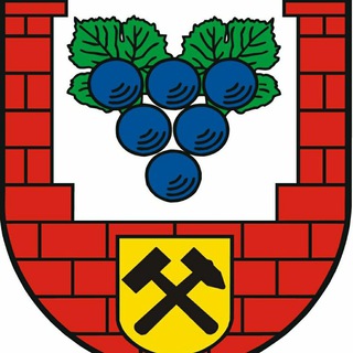 Telegram profile photo for Freies Demokratisches Bündnis Burgenlandkreis