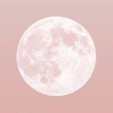 Telegram profile photo for price: poetics & calm space