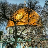 Telegram profile photo for تل آویو ۱۲۳۸ کیلومتر