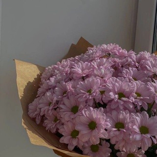 Telegram profile photo for لِـحبيبة.