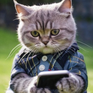 Telegram profile photo for کامنت باز