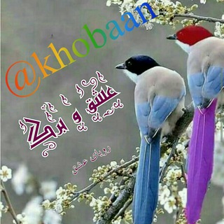Telegram profile photo for @khobaan عشق وبرگ