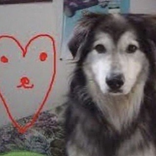 Telegram profile photo for гнездо скалки!?