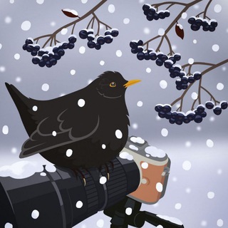 Telegram profile photo for 🐦⬛️KateSmithFoto📸