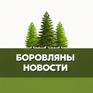 Telegram profile photo for Боровляны | Новости