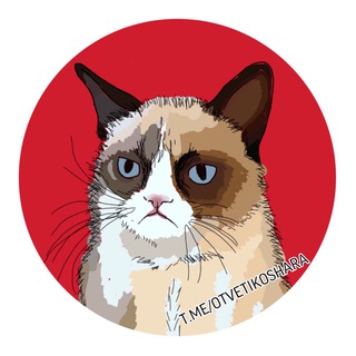 Telegram profile photo for ОТВЕТЫ ВОШ ВПР СтатГрад 2022