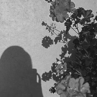Telegram profile photo for مبهِرهہَ.