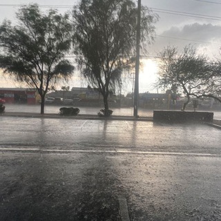Telegram profile photo for Rainy days