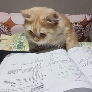 Telegram profile photo for Riemann Cavity