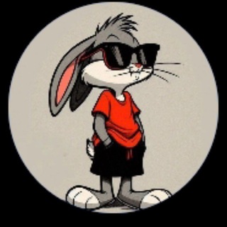Telegram profile photo for Airdrop koin