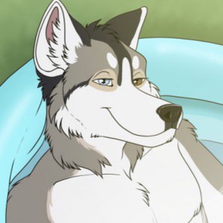 Telegram profile photo for Bi Furry Yiff