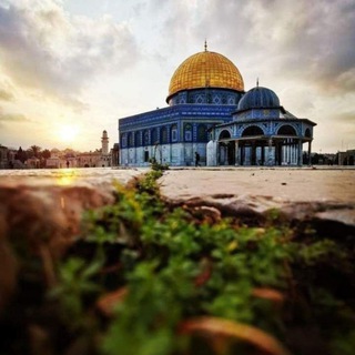 Telegram profile photo for الدين النصيحة(وصفات علاجية)