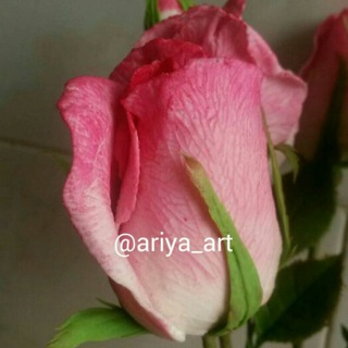 Telegram profile photo for هنرکده خمیری آریانا