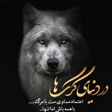 Telegram profile photo for تکست سنگین🚬