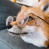 Telegram profile photo for Маска - fox🦊