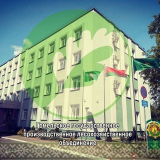 Telegram profile photo for Лесоводы Гомельщины 🌳🌲🌳