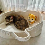 Telegram profile photo for CATE PORTAL