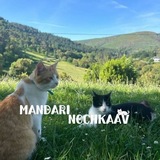 Telegram profile photo for мандаринка💕