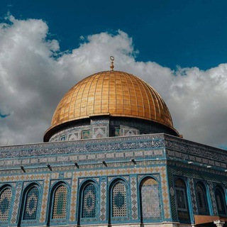 Telegram profile photo for القلب الفلسطيني 💚🕊.
