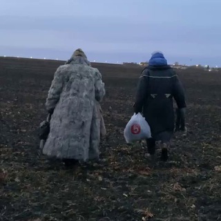 Telegram profile photo for В поле зрения