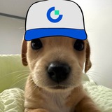Telegram profile photo for Bermiz делает