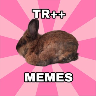 Telegram profile photo for TR Memas