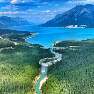 Telegram profile photo for 🇺🇿YUK BOR🎯 UZB🇺🇿