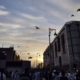 Telegram profile photo for منال..