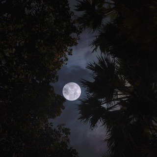 Telegram profile photo for الأوابين