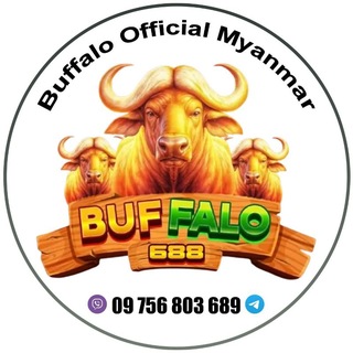Telegram profile photo for Buffalo Official Myanmar