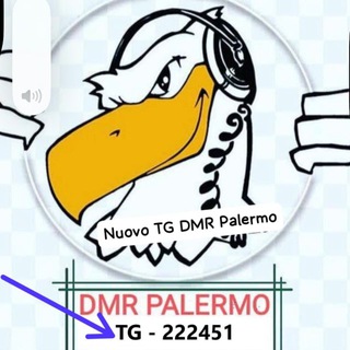 Telegram profile photo for TG-Palermo 222451