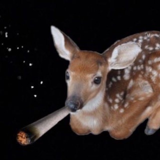 Telegram profile photo for newer winter ✻ 𓈒༄