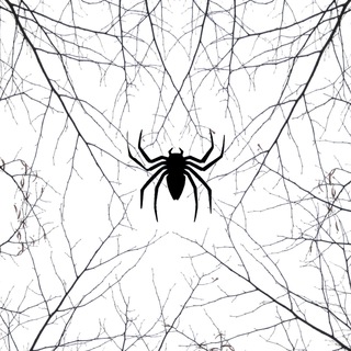 Telegram profile photo for Spider Token🕷