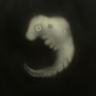 Telegram profile photo for стерево (я кердевой)