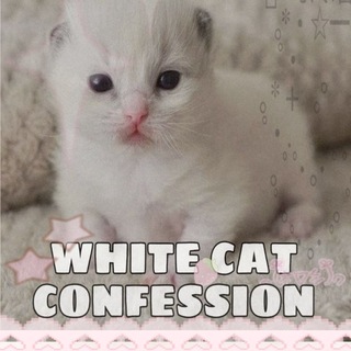 Telegram profile photo for белы кот confession