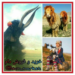 Telegram profile photo for خرید و فروش دام غرب اصفهان 🐄🐑