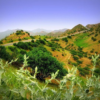 Telegram profile photo for 📄HAYOT VARAQLARI📄...