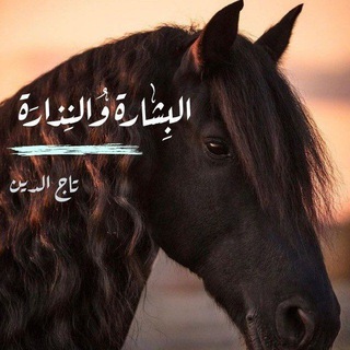 Telegram profile photo for البِشارة والنِذارَة/ تاج الدين