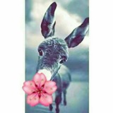 Telegram profile photo for نــــملـة 🐜 ســكـرانـة