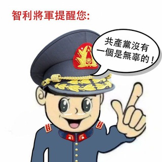 Telegram profile photo for 右逼支声(兼粉蛆乐子展览馆)