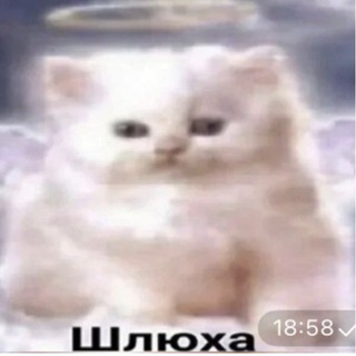 Telegram group profile photo for Планета 🪐