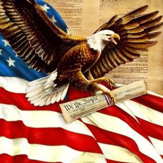Telegram profile photo for Major Patriot