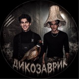 Telegram profile photo for 𝐃𝐢𝐤𝐨𝐳𝐚𝐯𝐫𝐢𝐤 𝐂𝐡𝐚𝐬𝐞 | 𝐈 𝐌𝐢𝐬𝐬 𝐂𝐡𝐚𝐬𝐞