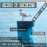 Telegram profile photo for Voice & Ecology
