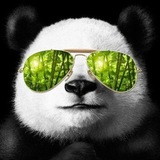 Telegram profile photo for Угарная панда | Юмор