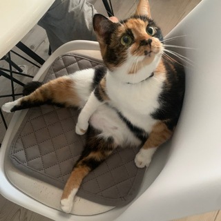 Telegram profile photo for Лизочка цветочек🥰
