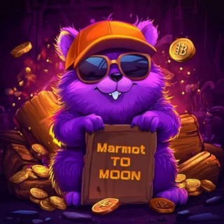 Telegram profile photo for Marmot土拨鼠