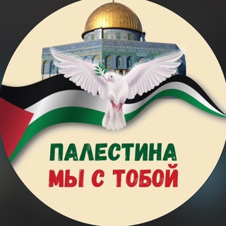 Telegram profile photo for Будни Палестины 🇵🇸 Аль Акса🕌 free Palestine